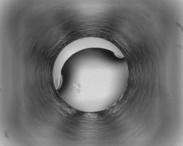 X0000096150328200802081417