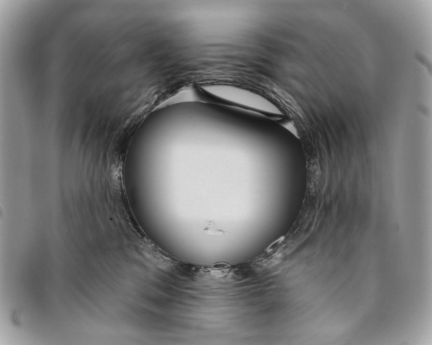 X0000096150329200802081417