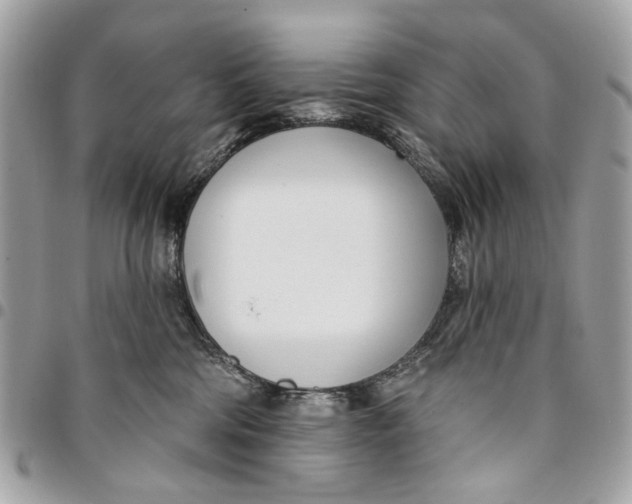 X0000096150330200802081417