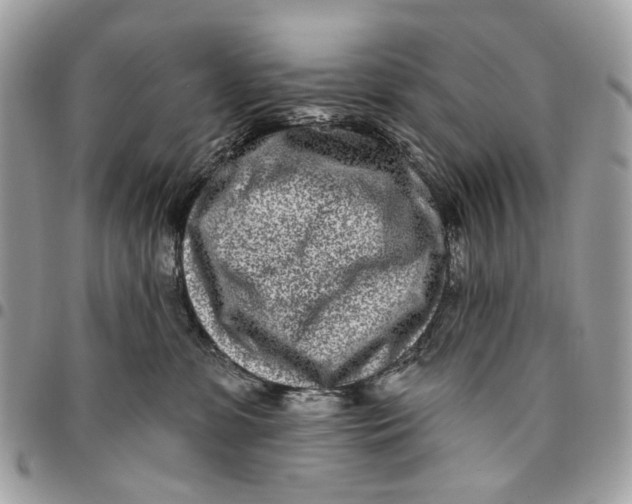 X0000096150331200802081417