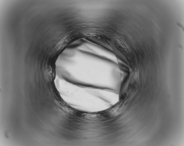 X0000096150332200802081417