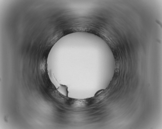 X0000096150334200802081417