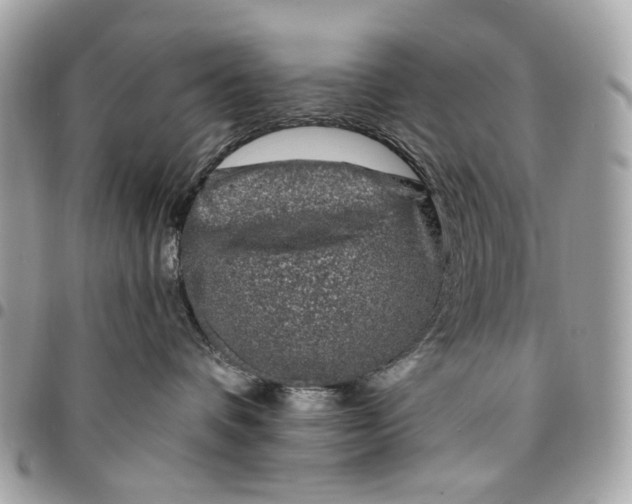 X0000096150336200802081417