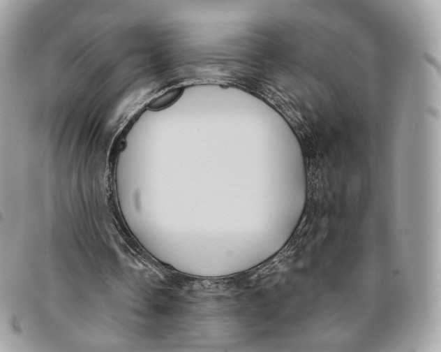 X0000096150338200802081417