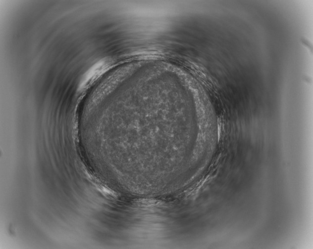 X0000096150339200802081417