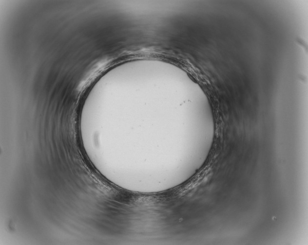 X0000096150341200802081417