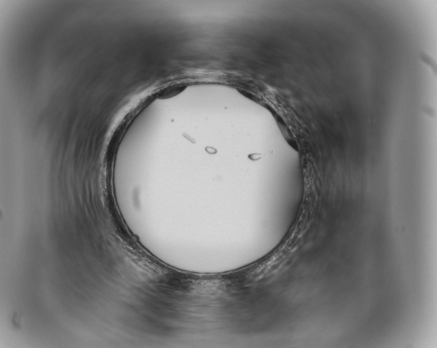 X0000096150342200802081417