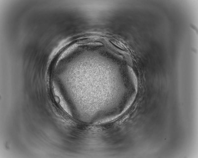 X0000096150343200802081417