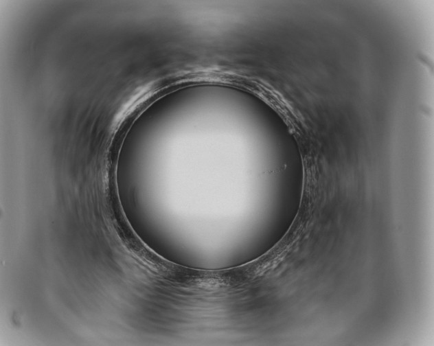 X0000096150344200802081417