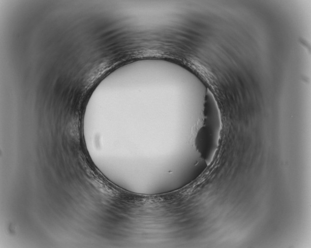 X0000096150345200802081417