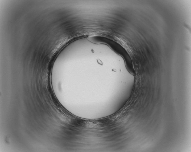 X0000096150346200802081417