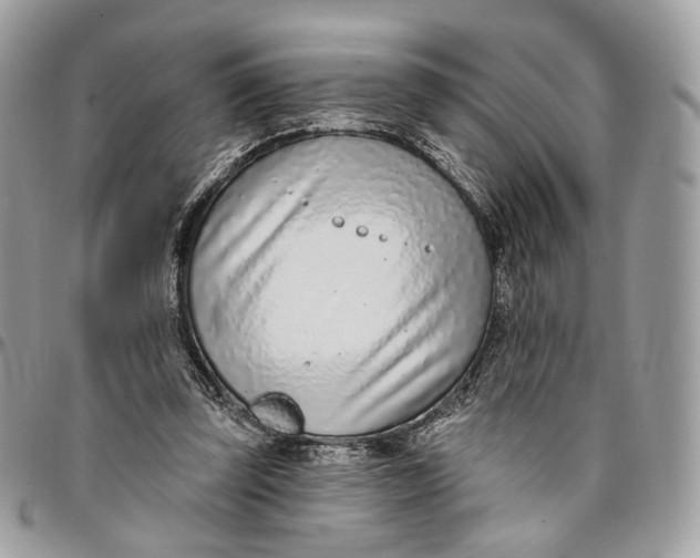 X0000096150347200802081417