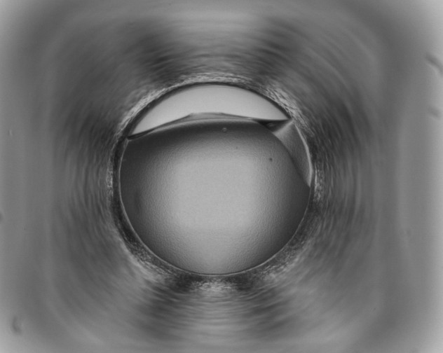 X0000096150348200802081417