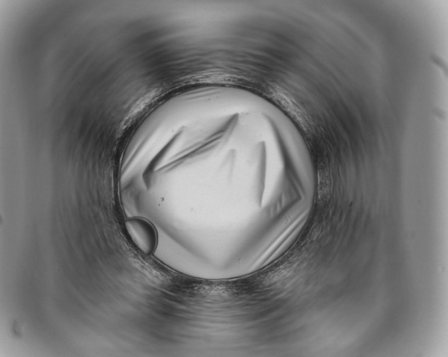 X0000096150349200802081417