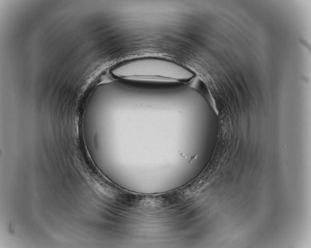 X0000096150350200802081417