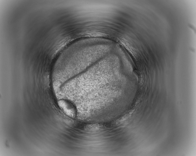 X0000096150351200802081417