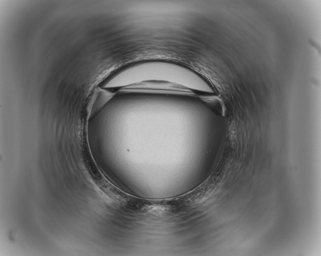 X0000096150352200802081417