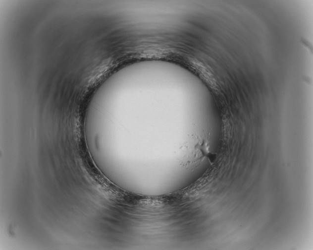 X0000096150354200802081417