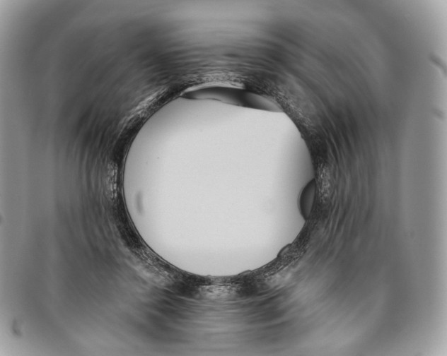 X0000096150356200802081417