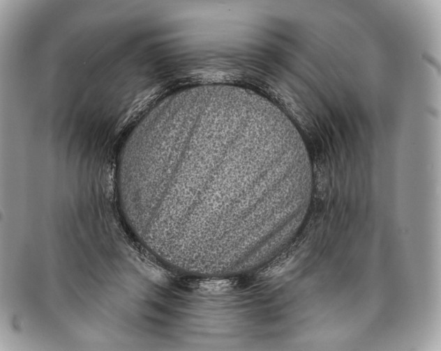 X0000096150357200802081417