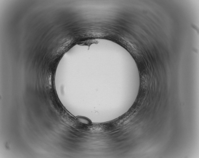 X0000096150358200802081417