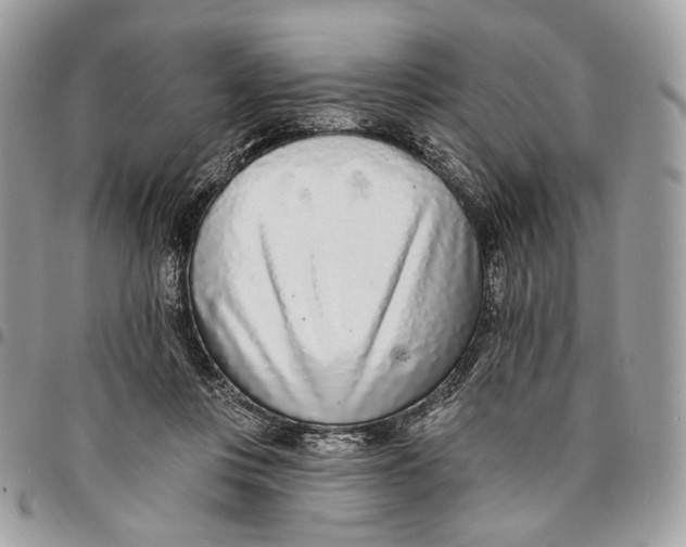 X0000096150359200802081417