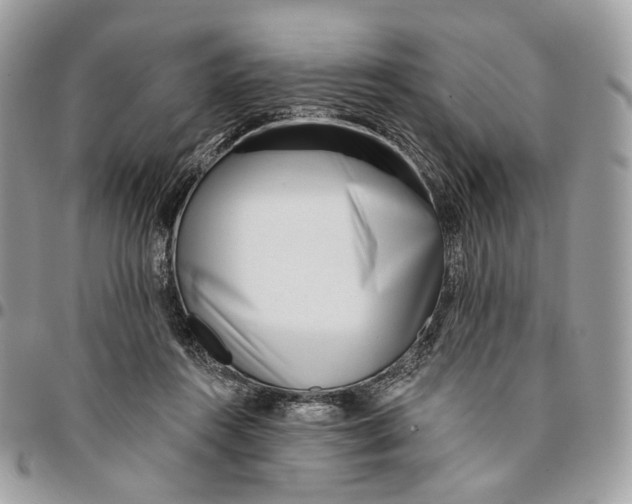 X0000096150360200802081417