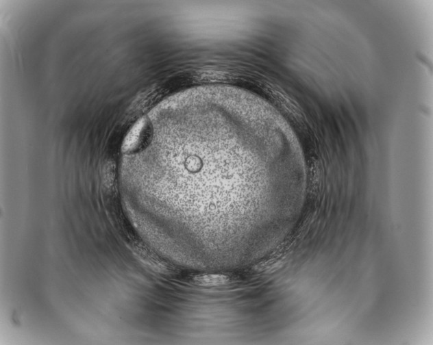 X0000096150361200802081417