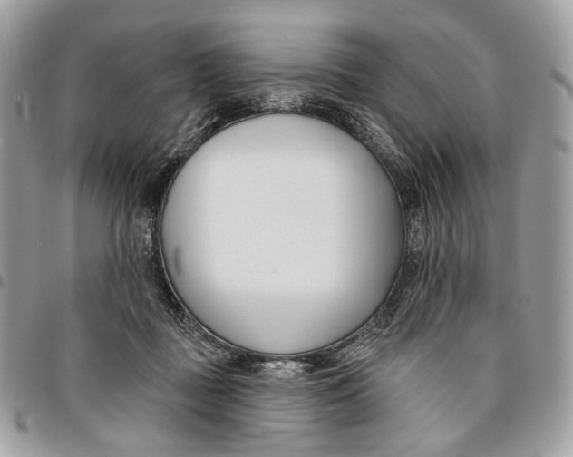 X0000096150363200802081417