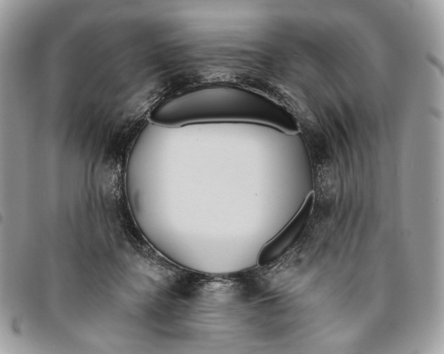 X0000096150364200802081417