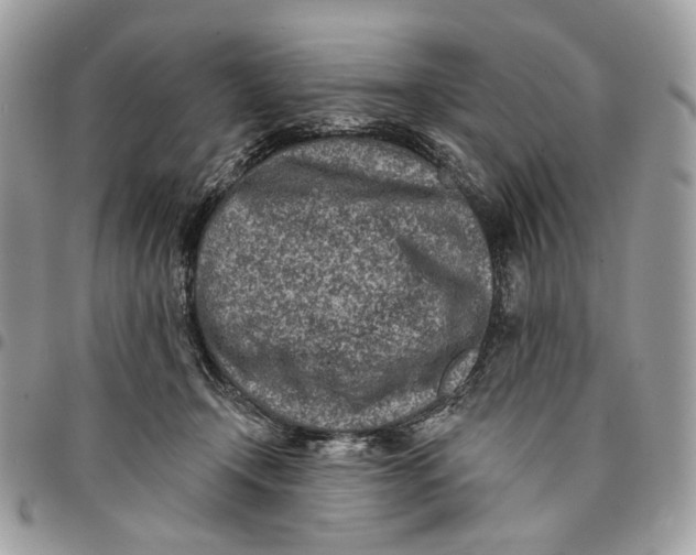 X0000096150366200802081417