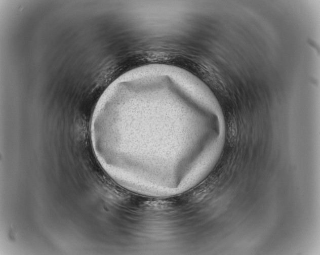 X0000096150367200802081417