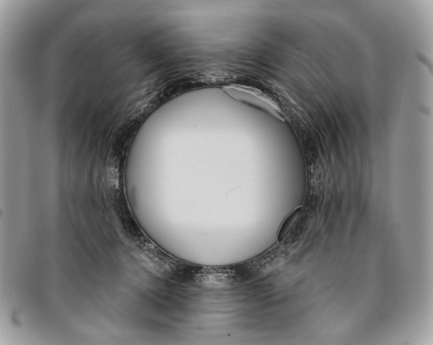 X0000096150368200802081417