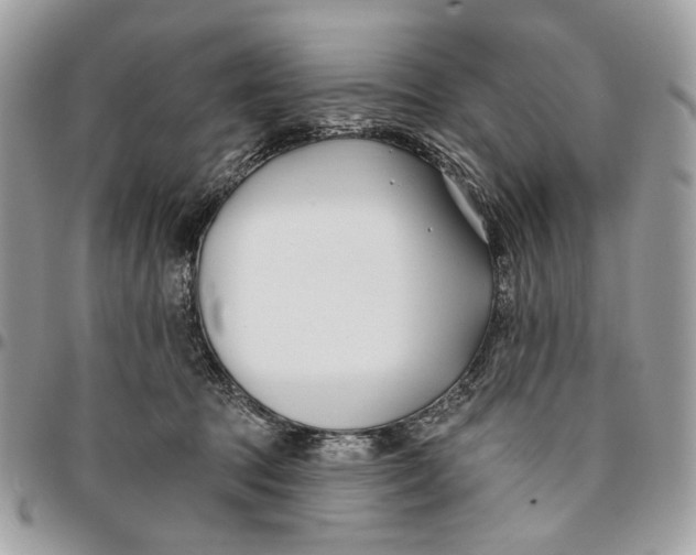 X0000096150369200802081417