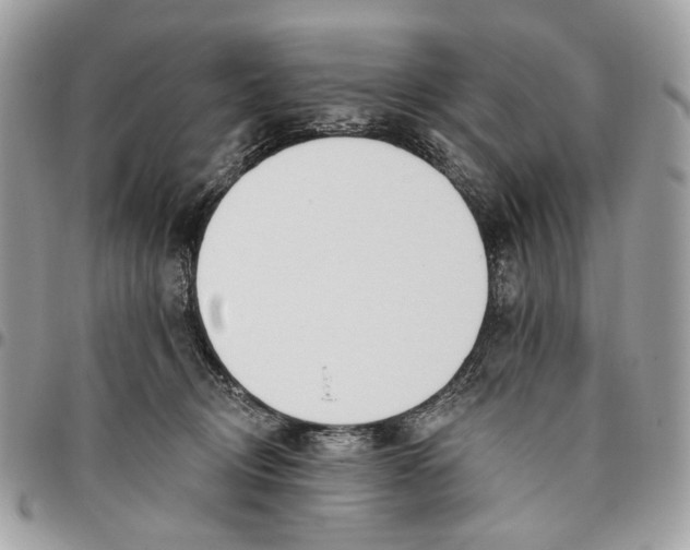 X0000096150370200802081417