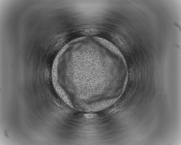 X0000096150371200802081417