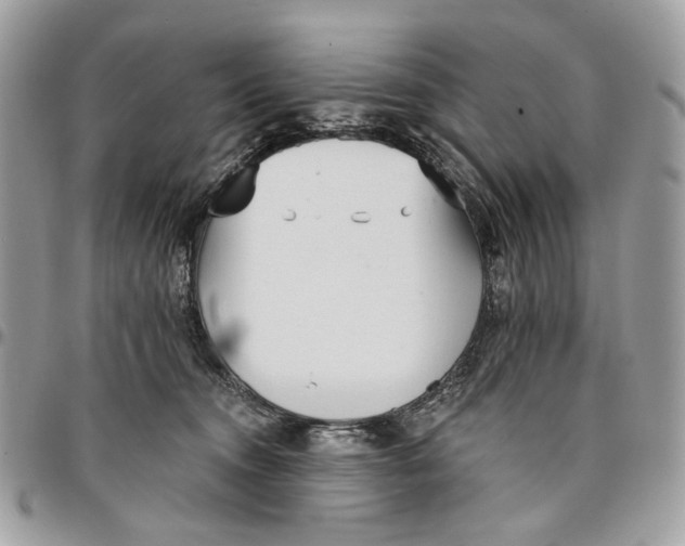 X0000096150372200802081417