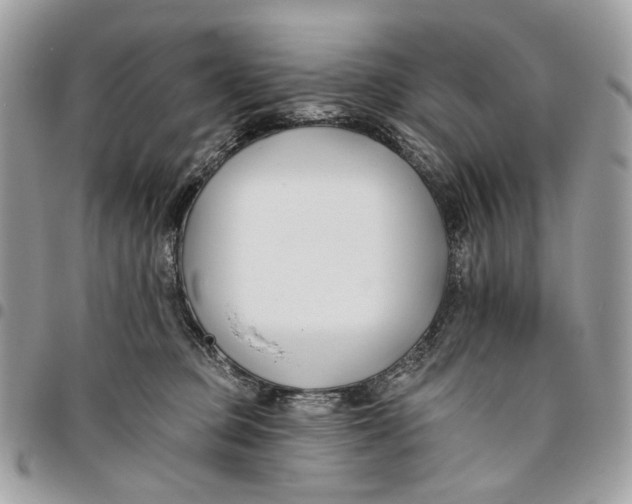 X0000096150373200802081417