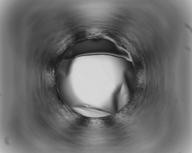 X0000096150376200802081417