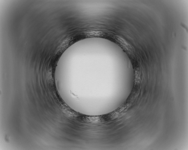 X0000096150377200802081417