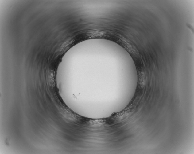 X0000096150378200802081417