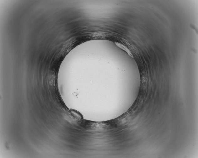 X0000096150379200802081417