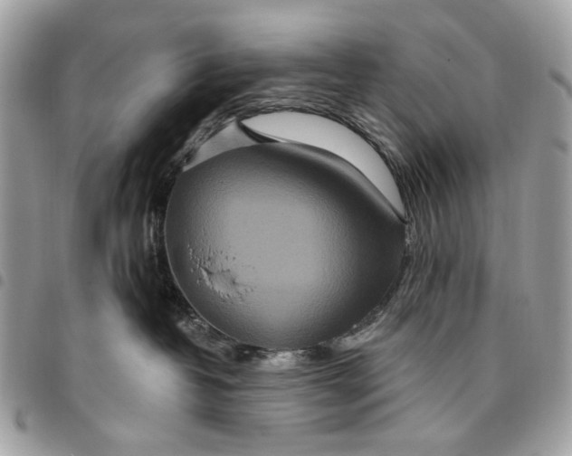 X0000096150382200802081417