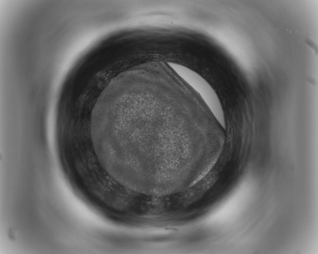 X0000096150383200802081417