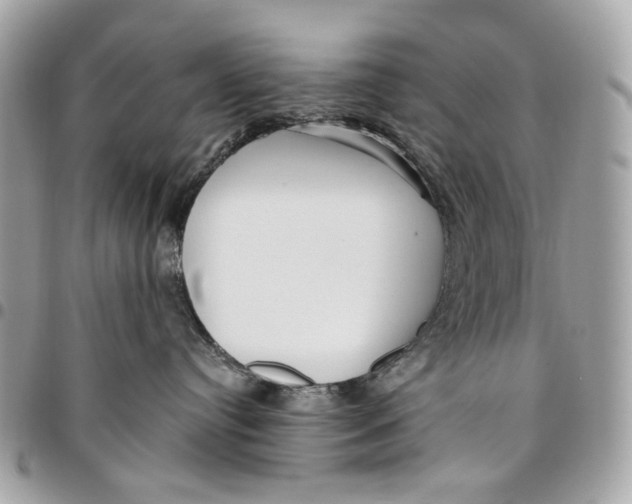 X0000096150384200802081417