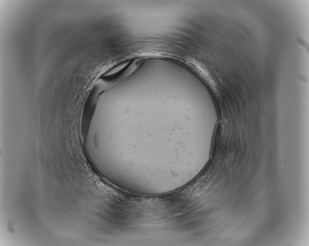 X0000096150385200802081417