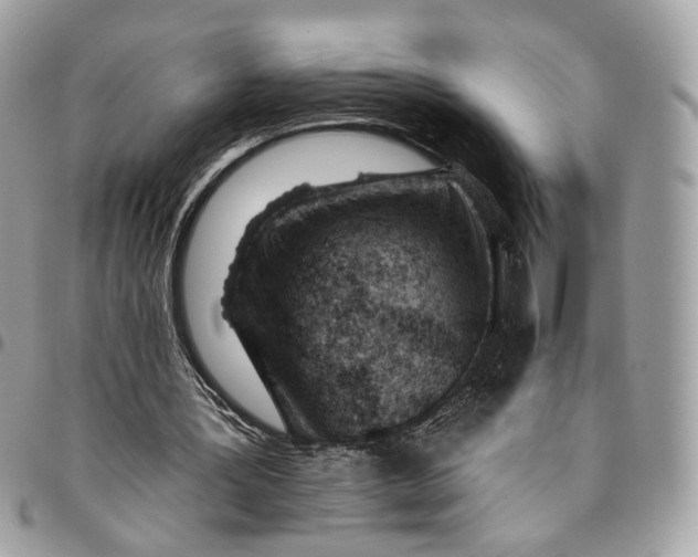 X0000096150387200802081417