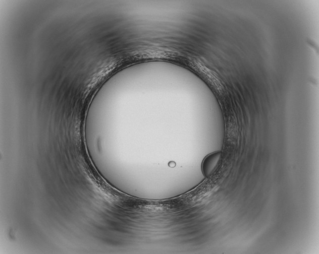 X0000096150394200802081417