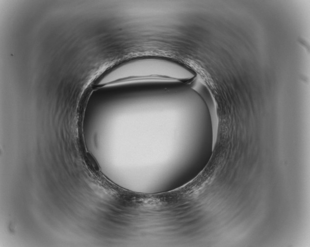 X0000096150395200802081417