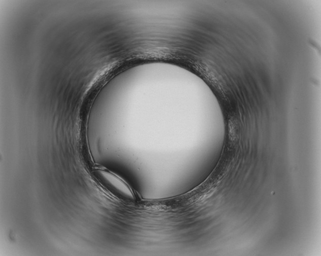 X0000096150396200802081416